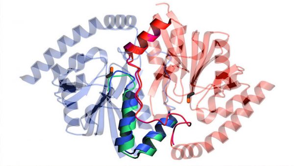 Enzyme Amylex 6T - VinaBeco - Công Ty CP Công Nghệ Bia Rượu Nước Giải Khát Việt Nam